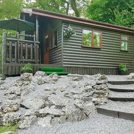 ホテル Garnffrwd Park Llanddarog エクステリア 写真