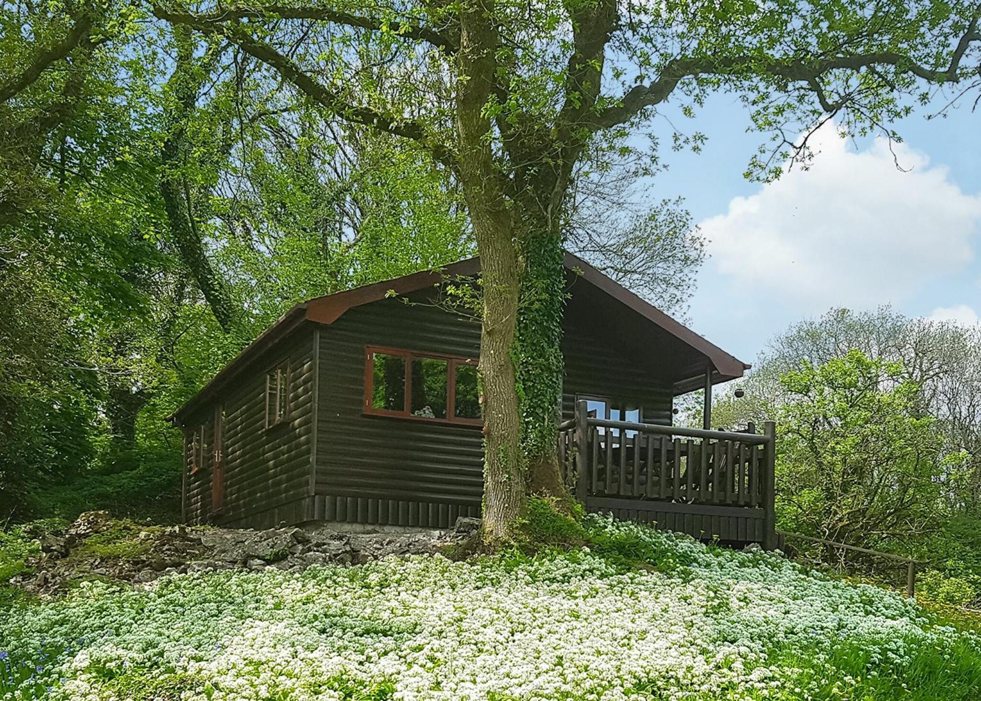 ホテル Garnffrwd Park Llanddarog 部屋 写真