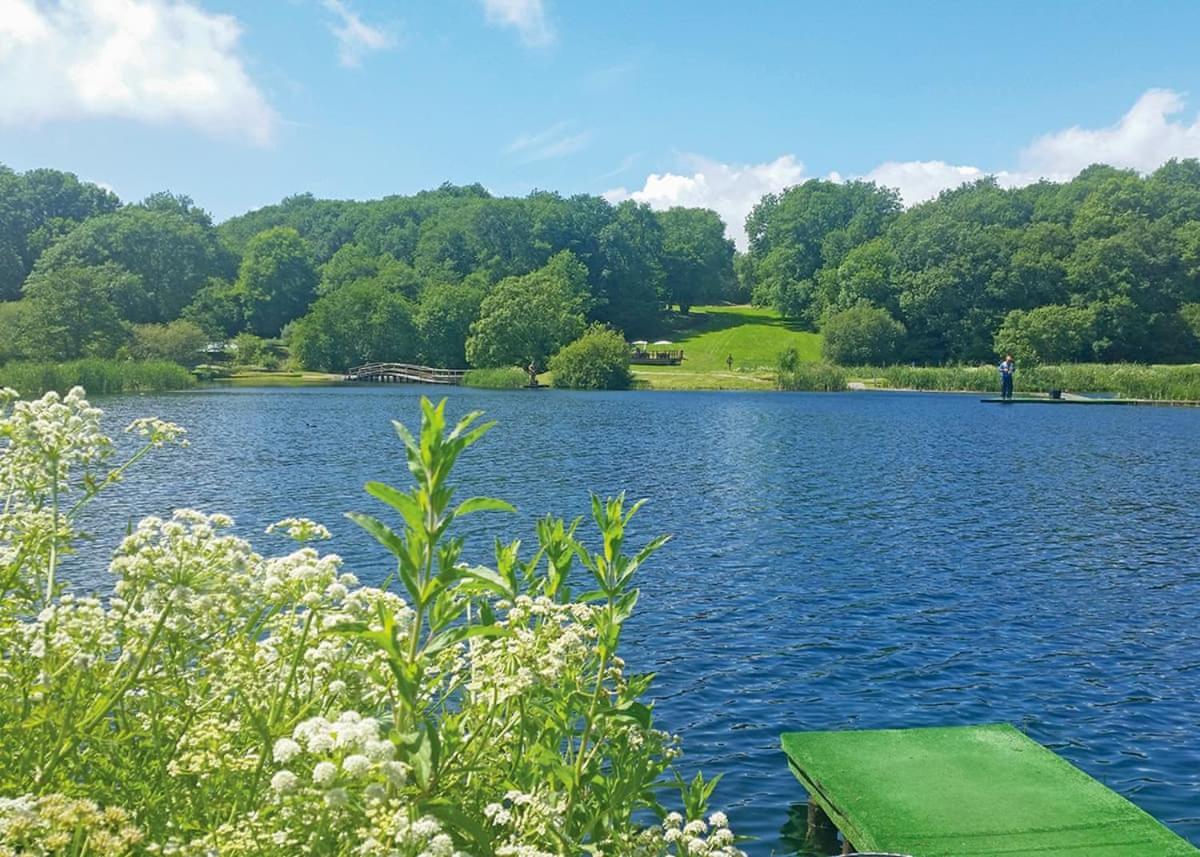 ホテル Garnffrwd Park Llanddarog エクステリア 写真